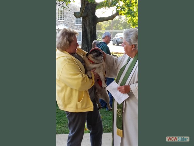 Blessing of the Animals